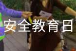 全國中小學安全教育日活動總結15篇(熱)