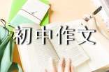 初中生的煩惱初中作文