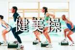 試論高校健美操教學(xué)中多媒體技術(shù)的應(yīng)用