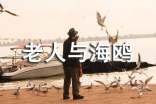 《老人與海鷗》讀書筆記