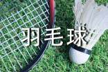 打羽毛球作文【精】