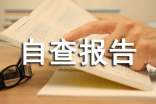 企業稅務自查報告