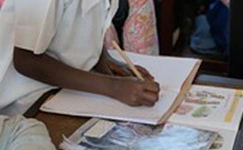 �����x�����������300��10ƪ